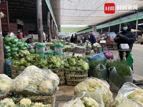 成都農(nóng)產(chǎn)品中心批發(fā)市場(chǎng) 蔬菜肉類供應(yīng)充足，部分區(qū)域?qū)嵭邢迺r(shí)交易