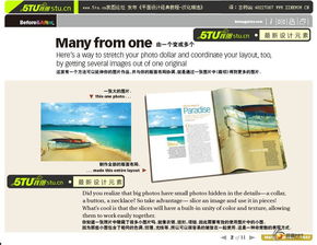 平面設計圖文制作 從創意到實現的實戰教程